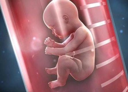 2026年泰国全球医院试管婴儿费用大公开，透明收费让您安心选择！