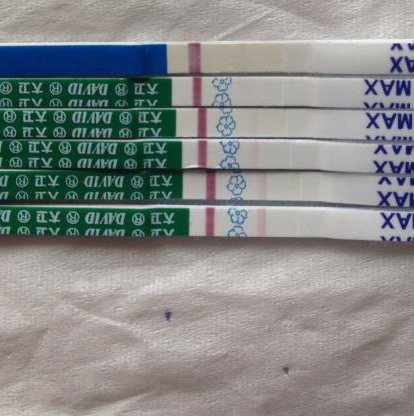 试管单胚移植的优势，单胚与多胚移植的具体操作