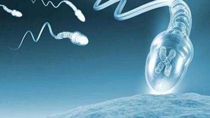 为什么这么多人会选择去泰国做试管？有哪些优势？