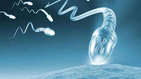 [镇江试管婴儿]试管婴儿比正常怀孕的宝宝寿命少是真的吗？二者区别给出答案