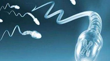 辽宁生四胎罚款多少钱这有介绍，给不给上户口一览了然