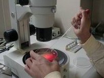 试管移植后14天内食谱表，一日三餐照着吃可促进胚胎着床