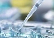 60s解析b超5个卵泡取得时候会不会多，看完就造能取几个