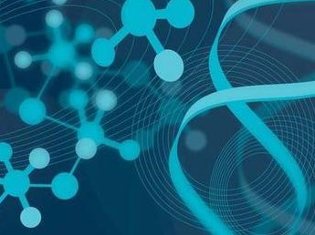 安徽六安做试管婴儿需要满足什么条件？