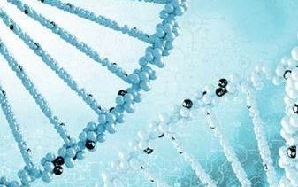 2026年想去德令哈市做试管婴儿需要准备哪些事？详细收费明细一览