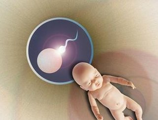 试管婴儿从促排到取卵要多久？10天够不够？